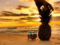 חופים, הם לפעמים... סיבה לגאווה