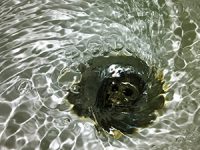 הכיור שוב סתום? 5 דרכים לפתיחת סתימות