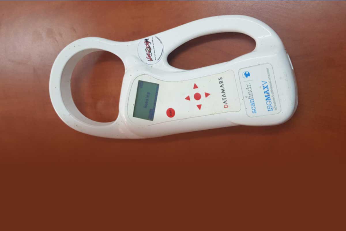 נלחמים בצואת הכלבים: סורק שבבים חדשני לאיתור הבעלים