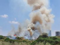 שריפה בנחל לכיש - כוחות כיבוי במקום