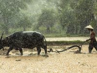 זכויות עובדים- מה צריך לדעת כשמתחילים לעבוד?