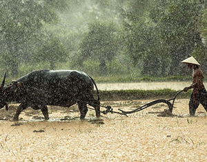 זכויות עובדים- מה צריך לדעת כשמתחילים לעבוד?