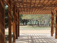 בניית פרגולה מעץ – בחירה מצוינת