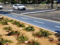 הרצל אמר... ״סעו לאט״