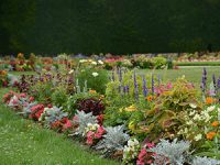 לשדרג את הגינה בתקציב מינימום