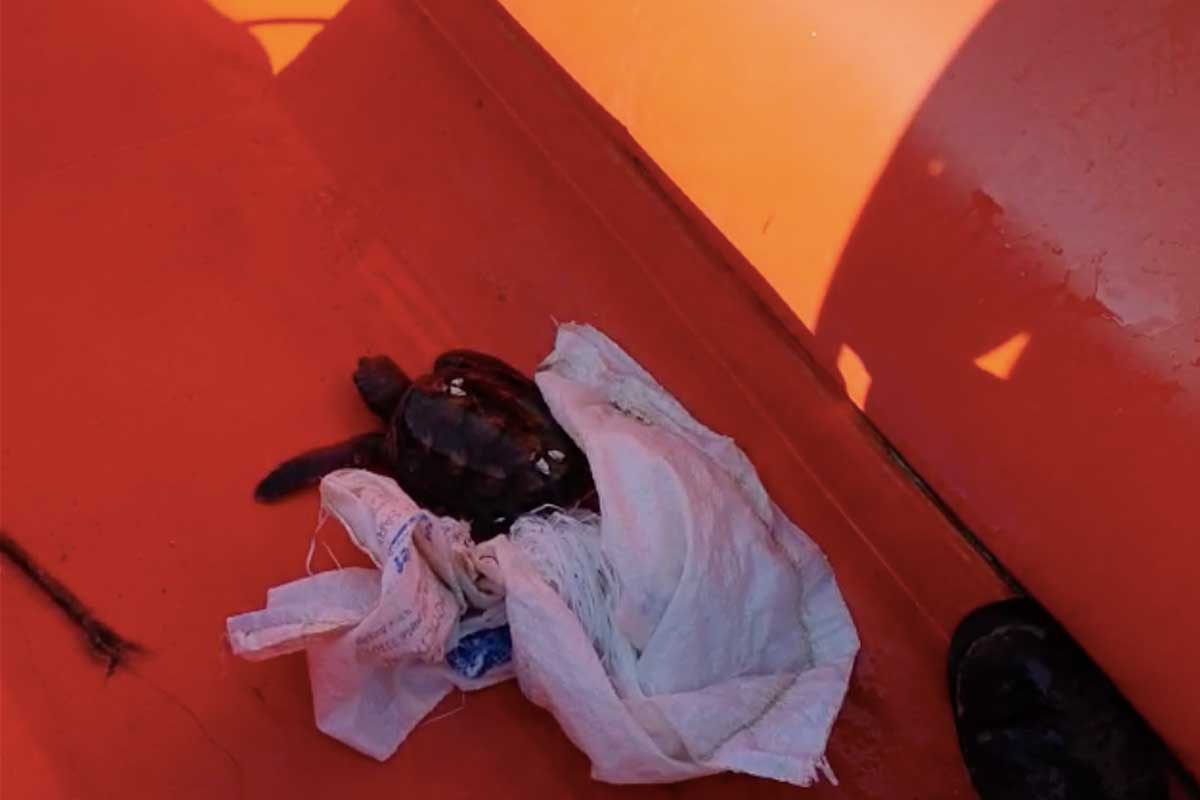 רשות הספורט העירונית ביבשה ובים.