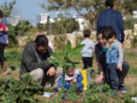 יער המאכל הראשון באשדוד
