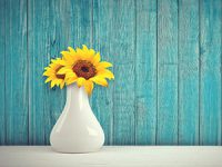 מדריך לבחירת צבע לעץ