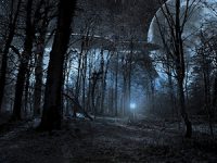 הסדרות שעשו קאמבק בשנים האחרונות