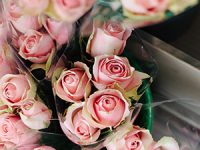 4 טיפים לבחירת אדניות למרפסת