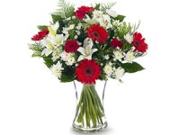 פרחי עירית - משלוחי פרחים אונליין