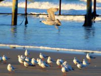 שבת חורפית - צילומים אבנר נסימי