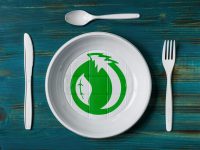 כלים רב פעמיים גם בבתי הספר!