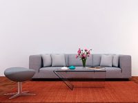 ניקוי מקצועי לשטיחים וספות מבריקים