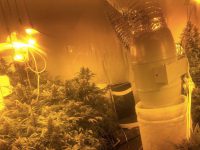 השכן שלא ישן...