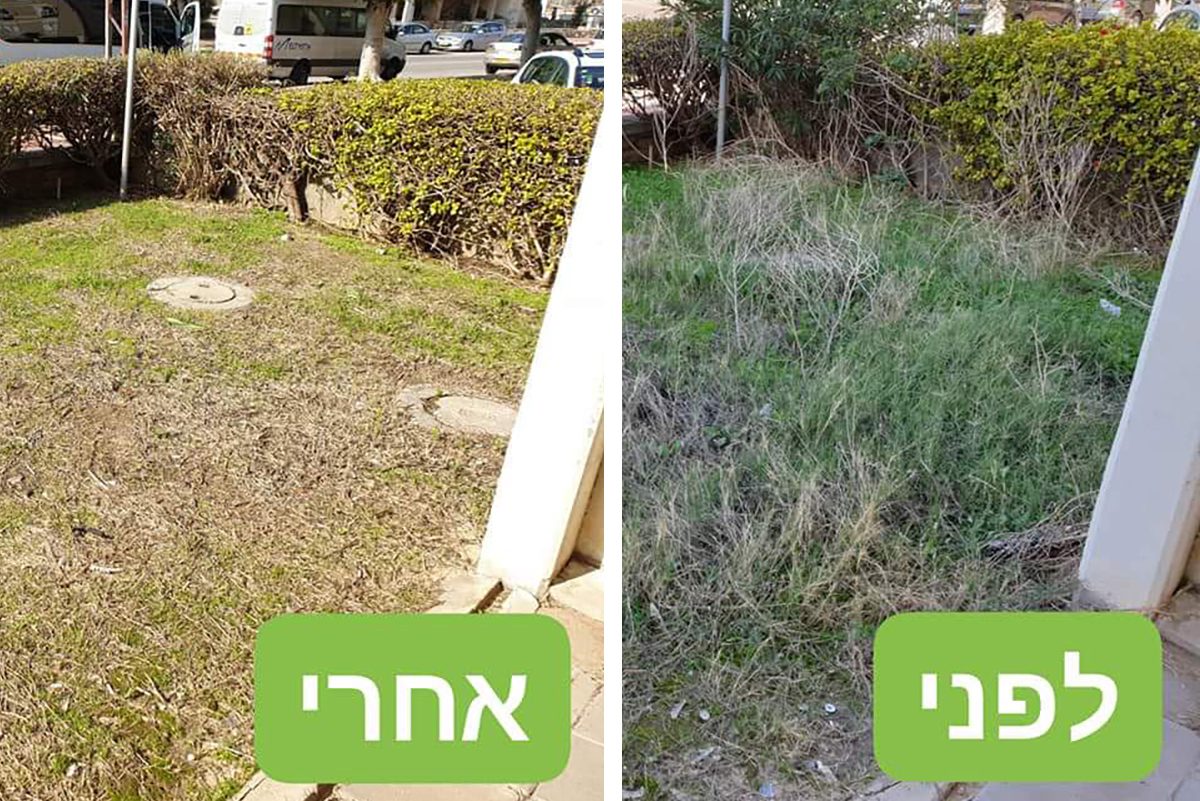 האינטרס שלנו - החצרות שלכם