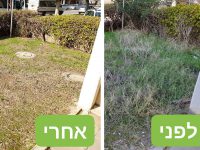 האינטרס שלנו - החצרות שלכם