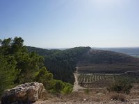 ארץ השמש העולה