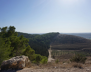 ארץ השמש העולה