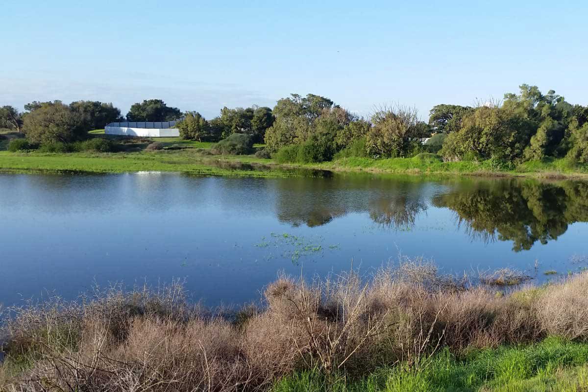 האגם הזמני הנעלם של אשדוד