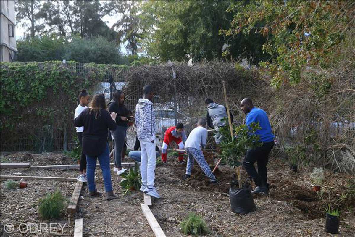 אירוע הנטיעות הראשון של יער המאכל בכפר הילדים והנוער "נווה גלים"