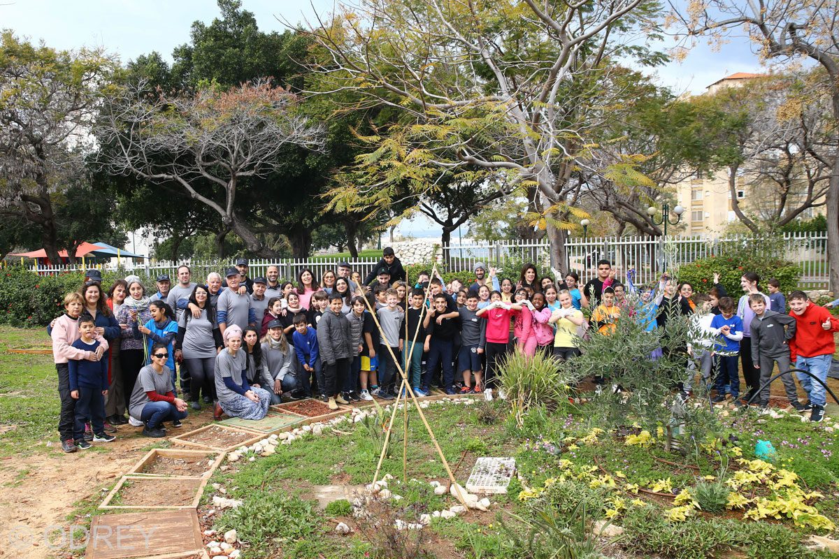 ט"ו בשבט הגיע – זמן לנטיעות