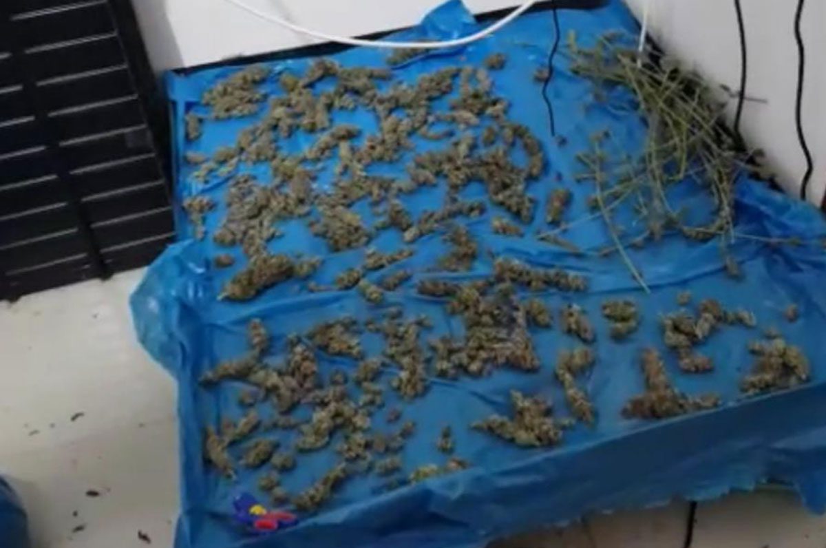 דירות ״ירוקות״