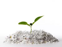 הסוף לפרסומים המודפסים מטעם העירייה וחברות עירוניות