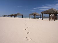 אגף חופי רחצה במשרד הפנים מודיע: חופי הרחצה סגורים