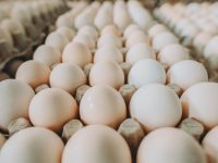 יש מצב לשקשוקה: מיליוני ביצים הגיעו מספרד