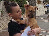 שומרים על בעלי החיים