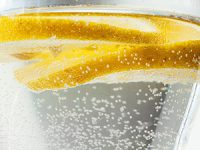 מהו מסנן מים ביתי?