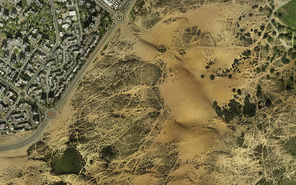 הפורום לאיכות הסביבה יתנגדו לבנייה על רצועת החוף, במבואות הדיונה ובמע"ר