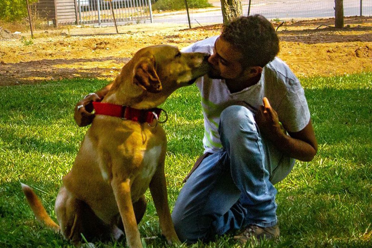 סדנת אילוף כלבים במרכז קהילתי 'עוזיאל'
