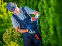 טיפים לעיצוב גינות פרטיות