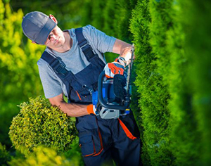 טיפים לעיצוב גינות פרטיות