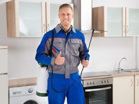 הדברת טרמיטים ללא קידוח, האם זה אפשרי?