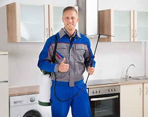 הדברת טרמיטים ללא קידוח, האם זה אפשרי?