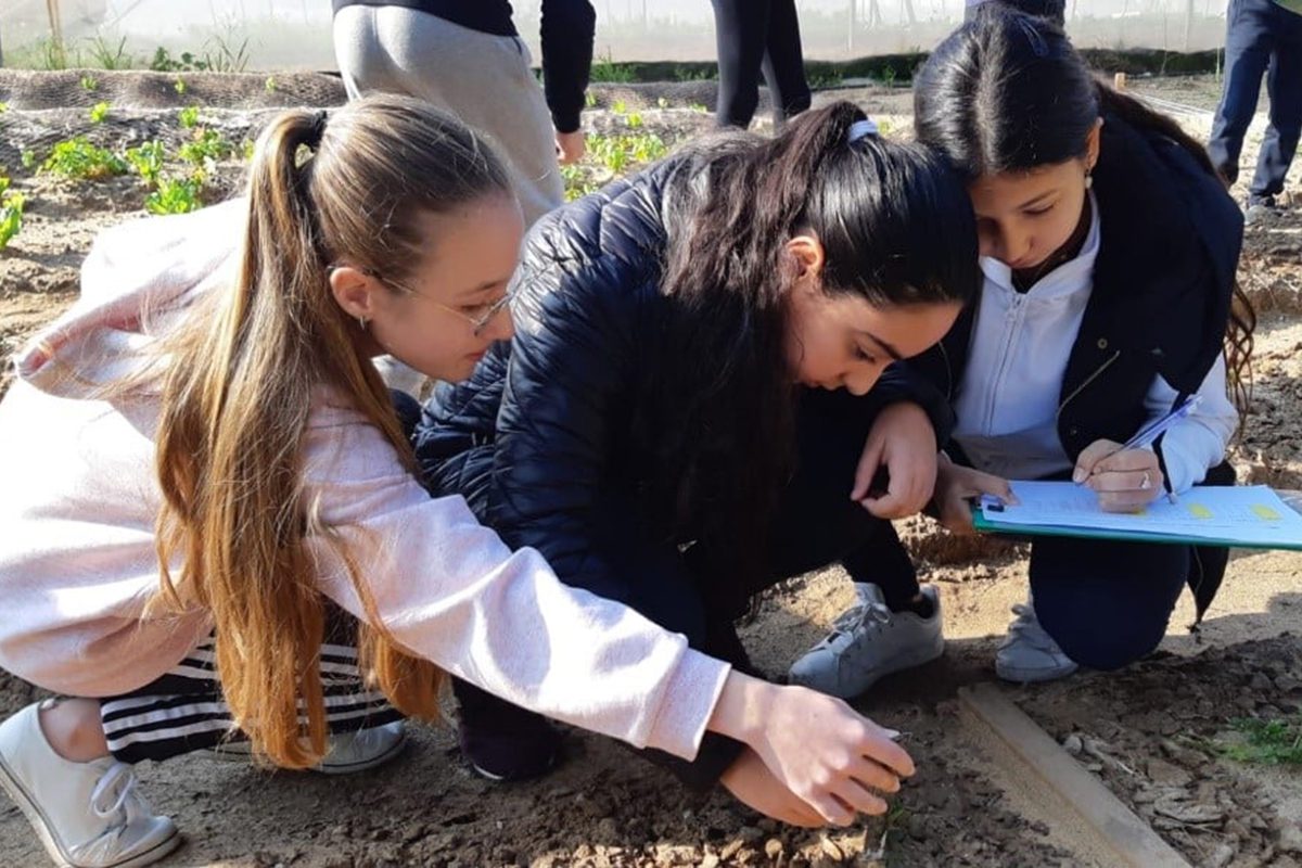 יריד חקר וירטואלי