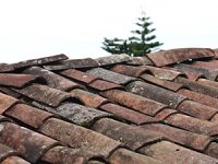 היתרונות והחסרונות של זיפות גגות