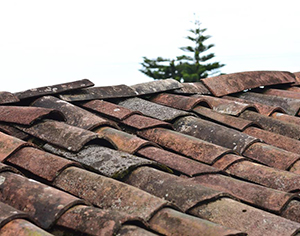 היתרונות והחסרונות של זיפות גגות