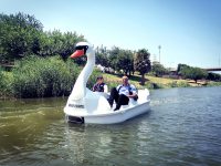 חיכו לקורונה: השייט חוזר לנחל לראשונה מזה 50 שנה