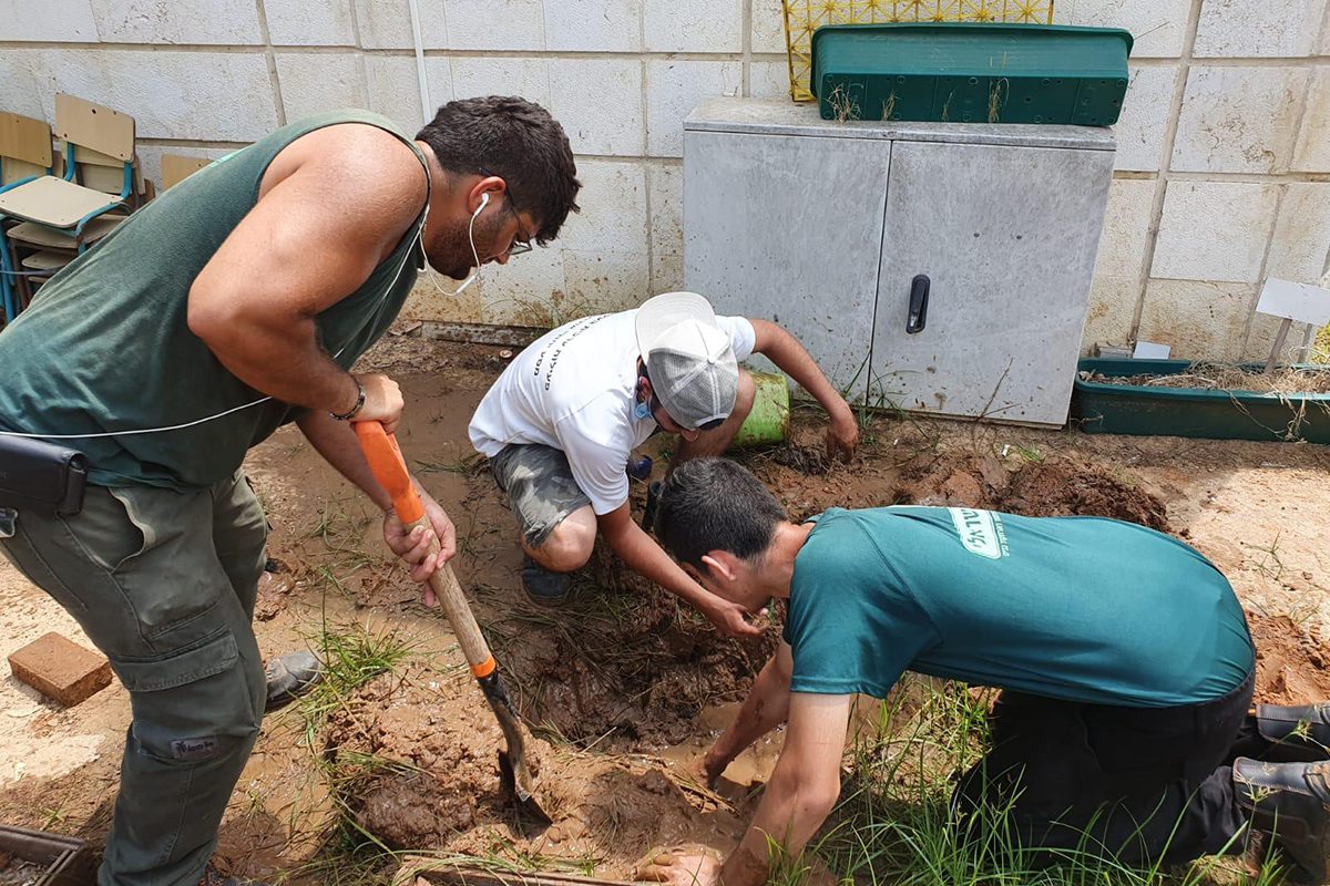 תעסוקת קיץ ב"נוף ישראלי"