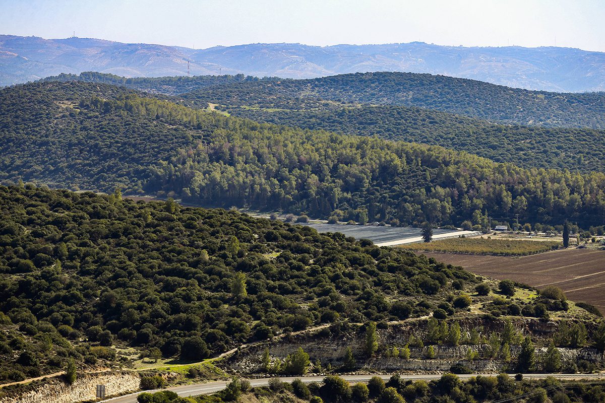 KKL436~KKL 181118_2063_r