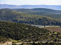 KKL436~KKL 181118_2063_r