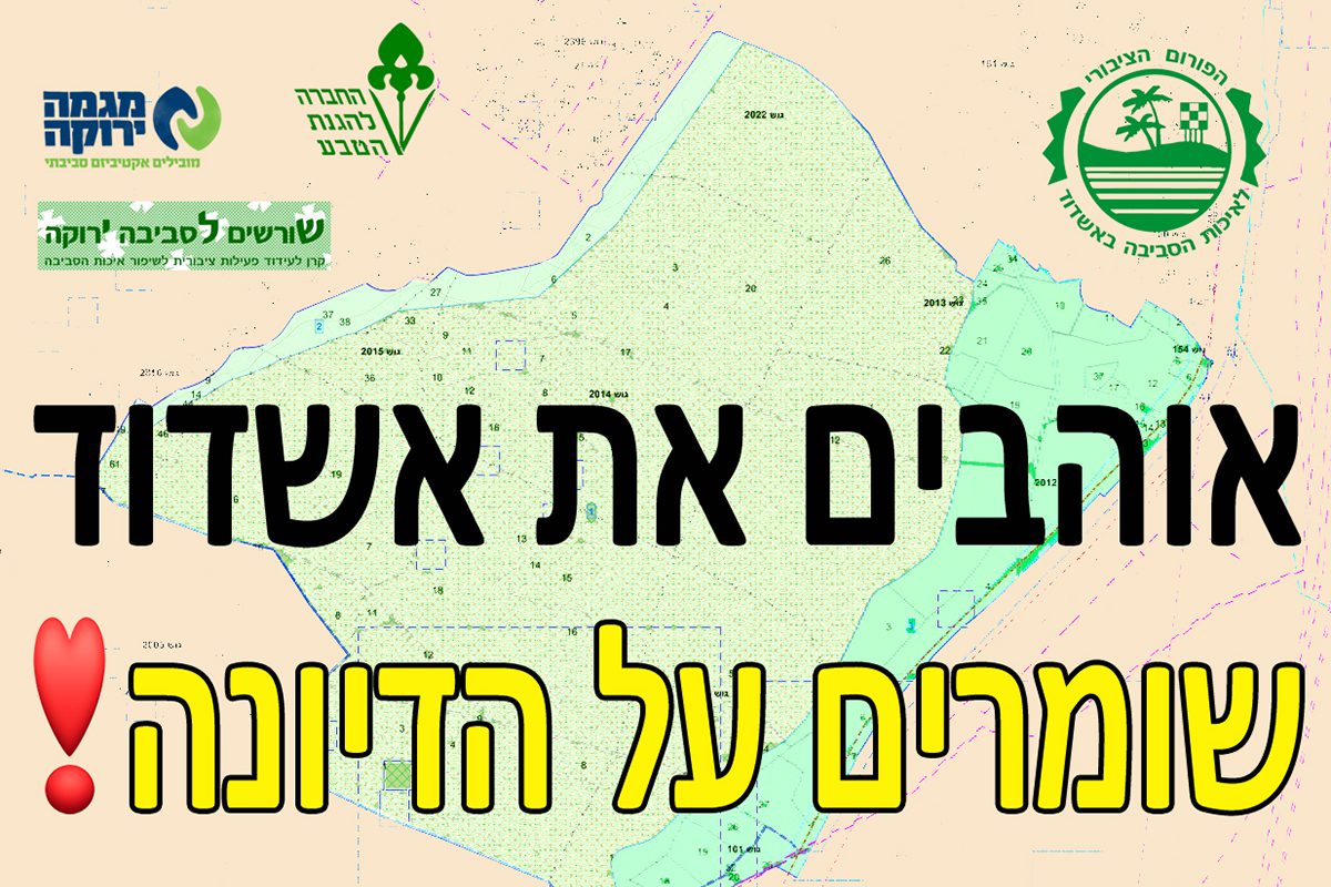 נאבקים לשמירה על הדיונה של אשדוד