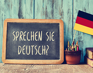 רילוקיישן לגרמניה: איזה אפשרויות שילוח בינלאומי מוצעות לכם?