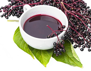 כל מה שחשוב לדעת על סמבוק שחור