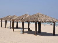 שבועות ללא ים