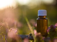 קאוצינג לנפש, אימון לשגרת הקורונה